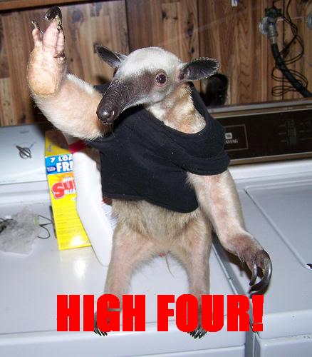 Name:  HIGHFOURANTEATER.jpg
Views: 2311
Size:  33.3 KB