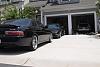 my three bad girls-cimg2358.jpg