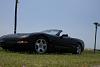 my three bad girls-cimg1718.jpg