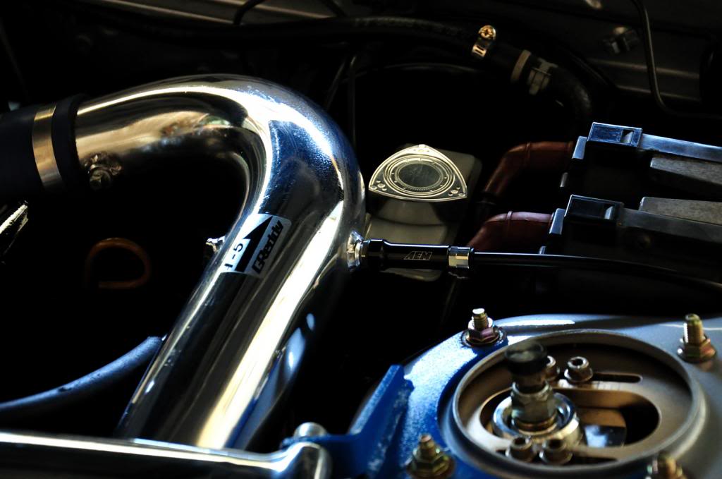 Name:  DSC_0012_zps6532ea86.jpg
Views: 658
Size:  67.8 KB