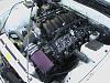 People Like Pics, so Here You Go.-imga0320.jpg