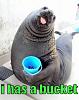 What made you convert?-hasbucket.jpg
