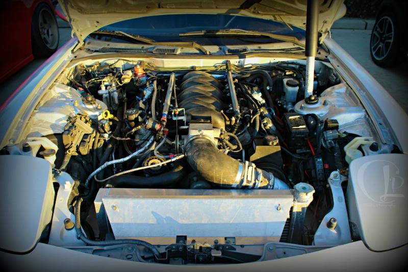 Name:  1511935_10200944967457343_56310806_o_zps10269c9f.jpg
Views: 458
Size:  76.2 KB