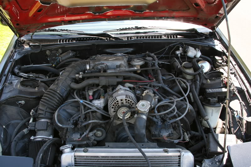 Name: IMG_0579.jpg
Views: 723
Size: 108.7 KB
