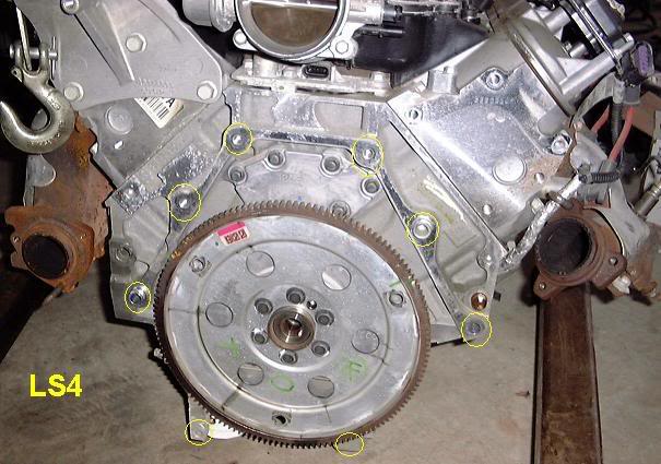 Name: LS4_flexplate1.jpg
Views: 338
Size: 56.8 KB