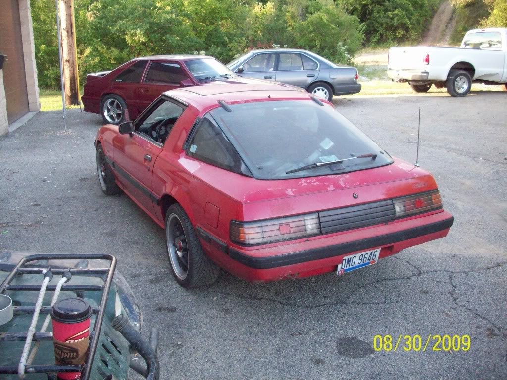 Name: MyRex03.jpg
Views: 5739
Size: 189.6 KB