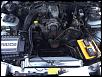 KOYO Radiator Special!!-image-3211820903.jpg