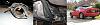 Clogged Cat-rentwreck.jpg
