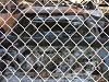 **My Burnt Car pics-Puresports Fire-fence2.jpg