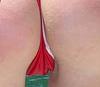 Fast N Furious3........-panties2.jpg
