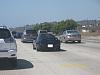 Spotted Green FD IN OCEAN SIDE!!! GOT PICS-100_2706.jpg