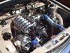 Classic Jap Car Show Pic's (alot)-dsc00355.jpg
