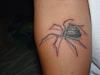 Going to Vegas with the fiance, Looking for a good tatto place!-dsc01992.jpg