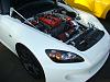 shine bbq pics-show_9.jpg