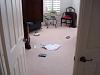 Who Felt the EarthQuake at 11:46am-029.jpg