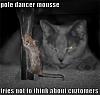 caturday is everyday!!!!!!!!!!!!!!!!!!!!!!!!!-8%5B1%5D.jpg