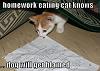 caturday is everyday!!!!!!!!!!!!!!!!!!!!!!!!!-900230%5B1%5D.jpg