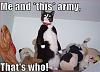 caturday is everyday!!!!!!!!!!!!!!!!!!!!!!!!!-funny-pictures-your-cat-has-army1%5B1%5D.jpg