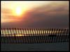 Bolsa Chica BBQ beach run...Saturday, November 15th-fence-1.jpg