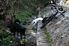 who's got dogs?-img_4450.jpg