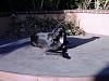 Anyone in So-Cal 'Catless'?-stoic.jpg