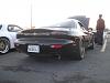 Seven Stock 14 Pictures and Videos-img_4590.jpg