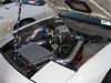 Seven Stock 14 Pictures and Videos-img_4576.jpg