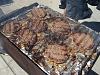 Socal7 BBQ-100_6789.jpg