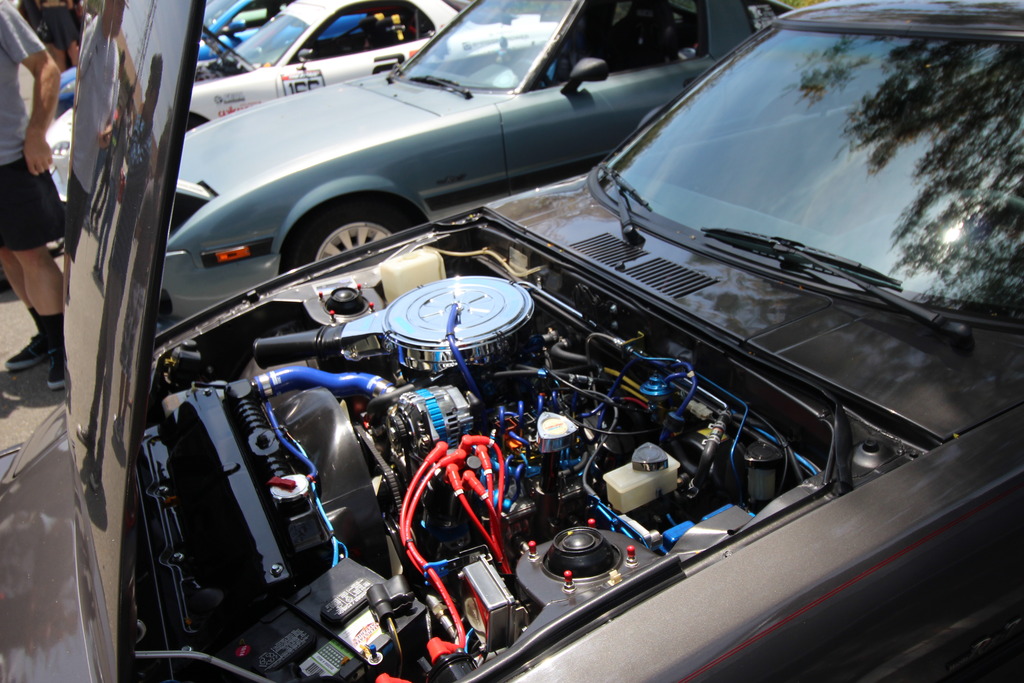 Name:  IMG_0435.jpg
Views: 19
Size:  256.9 KB