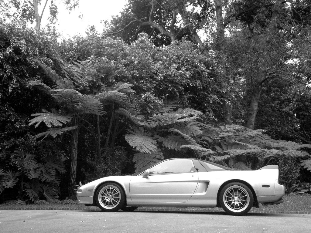 Name:  2012-10-08-161.jpg
Views: 191
Size:  252.2 KB
