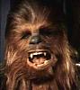 Mr.Chewbacca's Avatar