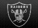 Raider's Avatar
