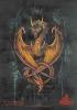 Black_ice-Dragon's Avatar