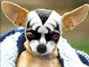 karloz's Avatar
