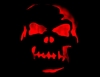 chatdogg8's Avatar