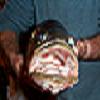 Stainless's Avatar
