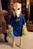 moondoggy's Avatar