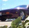 rx7111m's Avatar