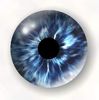 RotaryX_SEVEN's Avatar