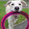 sway2003's Avatar