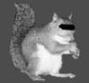 SecrtSqurl's Avatar