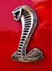 2 ROWDY's Avatar