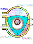 JUSTDOITRIGHT's Avatar