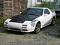 Rex-Rx7