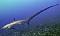 THreshER 7